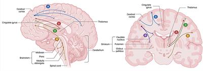 Intrinsic Connectivity Networks of Glutamate-Mediated Antidepressant Response: A Neuroimaging Review